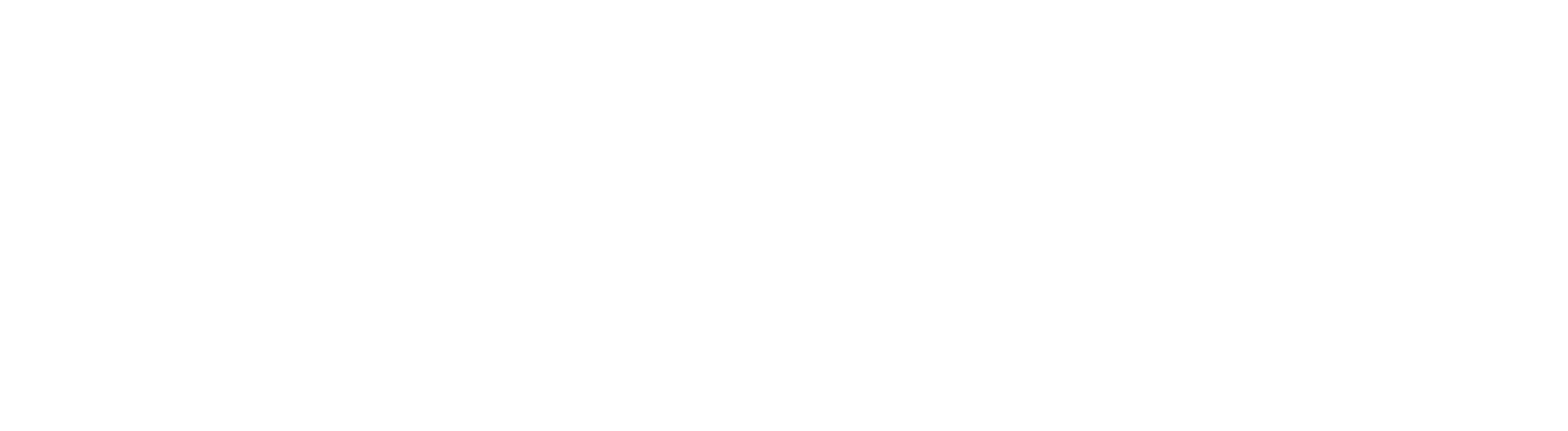 Skinbro